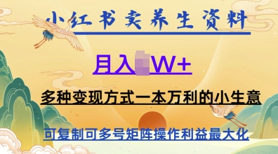 在小红书上卖养生资料，月入1w+，多种变现方式一本万利的小生意-创业资源网