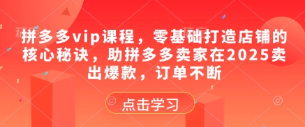 拼多多vip课程，零基础打造店铺的核心秘诀，助拼多多卖家在2025卖出爆款，订单不断-创业资源网