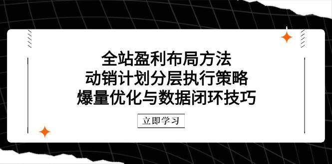 整站赢利合理布局方式：促销方案分层次执行策略，爆量优化与数据闭环方法-创业资源网
