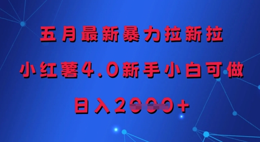 五月全新暴力行为引流拉，小红书4.0新手入门能做，日入好几张-创业资源网