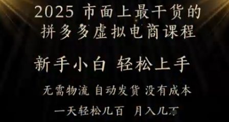 25年最干货的拼多多平台虚似电商课程，新手快速上手，月入了w仅仅门坎!虚似电子商务，如皓月见青天-创业资源网