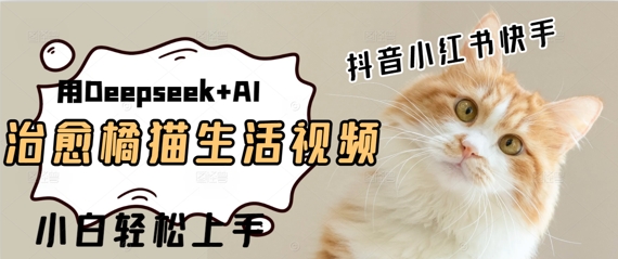 疯狂火爆，用Deepseek+AI做治愈橘猫系列视频，小白轻松制作+快速拿到结果-创业资源网