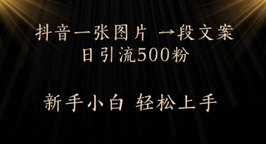 每日2min，抖音一张照片 一段创意文案日引流方法500粉-创业资源网