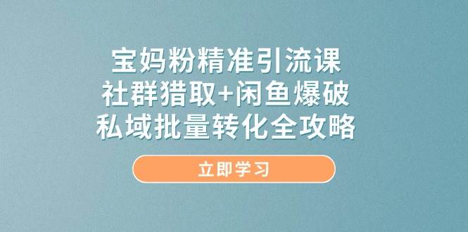 宝妈粉精准引流方法课，社群营销捕获 闲鱼平台工程爆破，公域大批量转换攻略大全-创业资源网