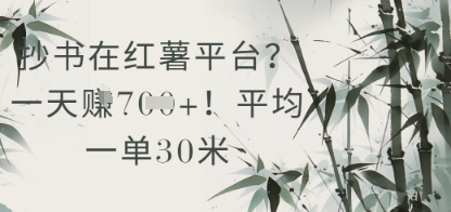 抄写在小红书服务平台？平均一单30米，一天盈利多张！-创业资源网