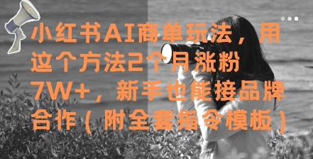 小红书的AI商单游戏玩法，用这种方法2个月增粉7W ，初学者也能接品牌合作(附整套命令模版)-创业资源网