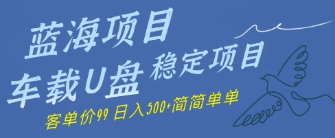 蓝海项目车载式U盘平稳新项目，赚的便是信息不对称，客单量99，日入多张很简单-创业资源网