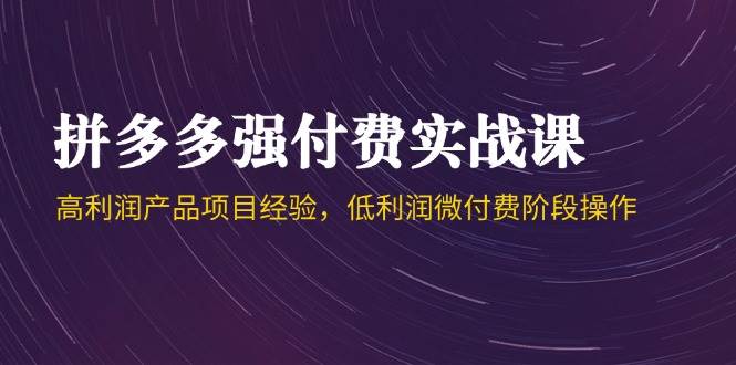 拼多多强付费实战课-44期，高利润产品项目经验，低利润微付费阶段操作-创业资源网