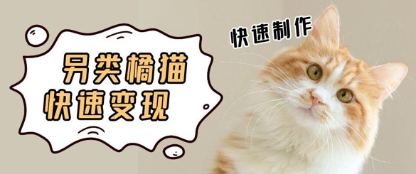 5个作品增粉30W！AI 武林橘猫视频制做，新手轻松入手，一条条爆品，一条条转现，单日就可盈利-创业资源网