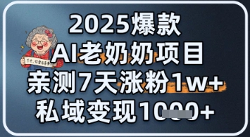 2025爆品 AI 老太太新项目：亲自测试 7 天增粉 1W ，私域变现 1k-创业资源网