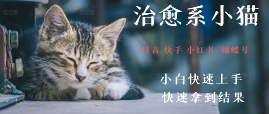拆解，疯狂火爆！抖音，小红书，视频号小猫治愈的视频，轻松制作+快速拿到结果-创业资源网