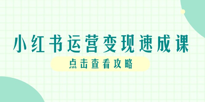 小红书运营转现速成课，账户构建到暴力行为养号，本人IP全过程手册-创业资源网