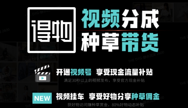 外边卖去1980得物双通道内存游戏玩法新项目拆卸，3-7天一个养号周期时间，每月最低有3k – 5k【揭密】-创业资源网