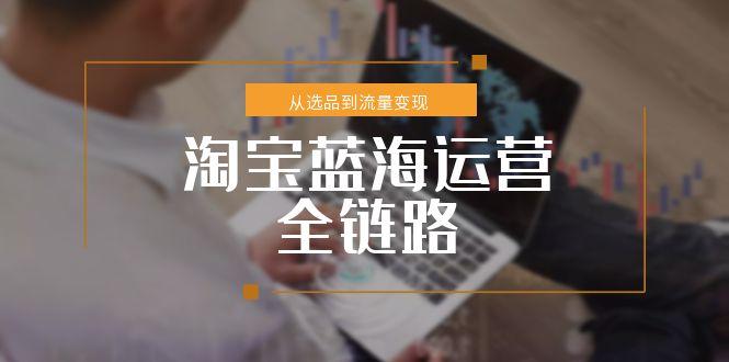 淘宝蓝海运营全链路，从选品到流量变现，小类目突围完整方案-创业资源网