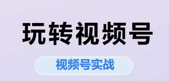 玩转视频号，视频号实战系列课-创业资源网