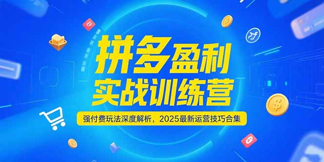 拼多多盈利实战训练营，强付费玩法深度解析，2025运营技巧合集-更新6月-创业资源网