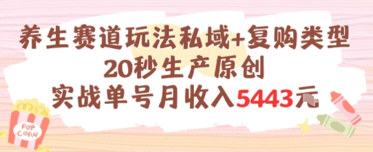 养生赛道玩法私域+复购类型，20秒生产原创实战单号月收入5k+-创业资源网