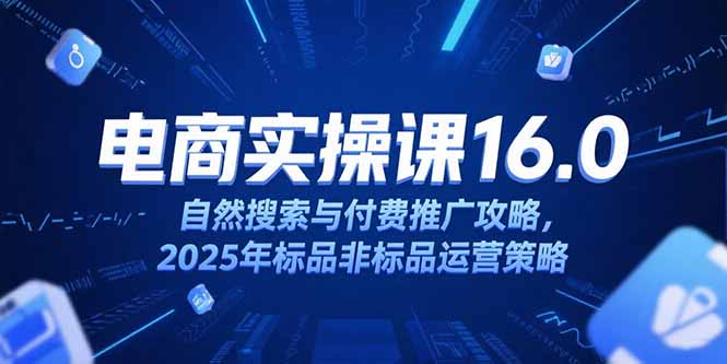 淘宝电商运营课16.0，自然搜索与付费推广攻略，2025年标品非标品运营策略-创业资源网