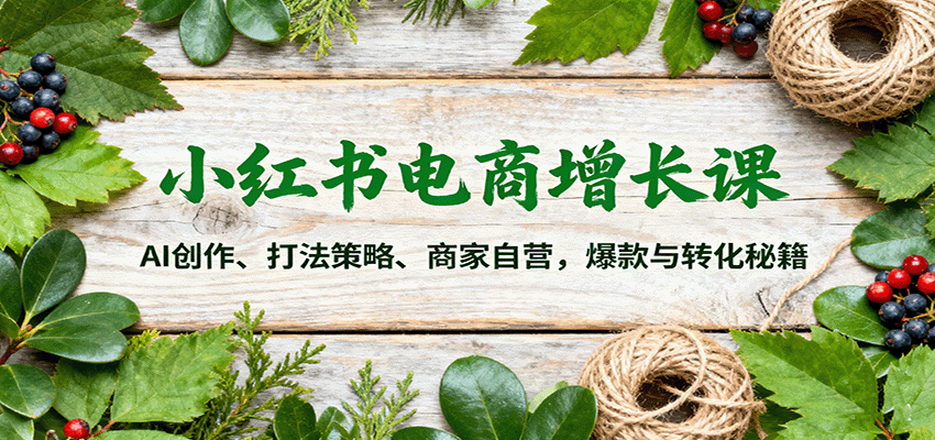小红书电商增长课：AI创作、打法策略、商家自营，爆款与转化秘籍-创业资源网