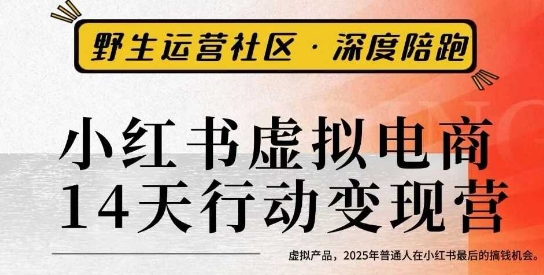 小红书虚拟电商14天变现训练营3.0，虚拟产品，2025年普通人在小红书最后的搞钱机会-创业资源网