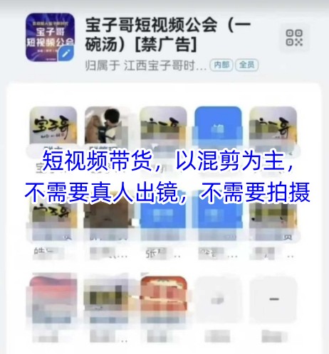 宝子哥头部团队短视频带货，以混剪为主，不需要真人出镜，不需要拍摄【更新11月】-创业资源网