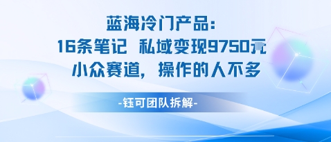 蓝海项目：16条笔记私域变现9750米小众赛道操作的人不多-创业资源网