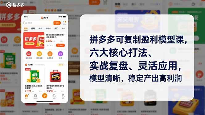 （16952期）拼多多可复制盈利模型课，六大核心打法、实战复盘、灵活应用，模型清晰，稳定产出高利润-创业资源网