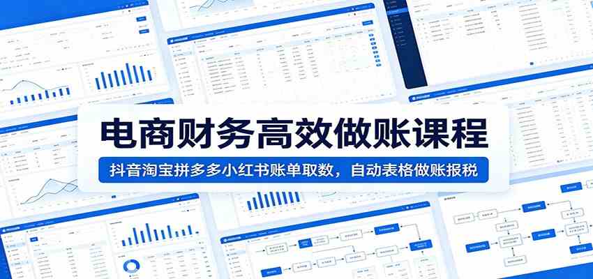 电商财务高效做账课程：抖音淘宝拼多多小红书账单取数，自动表格做账报税-创业资源网