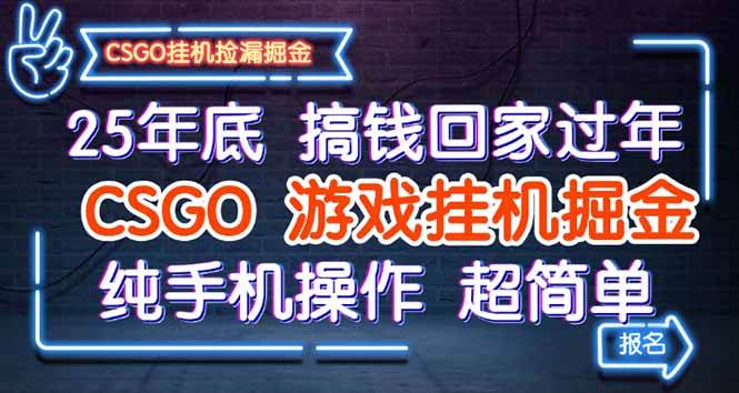 （16343期）25年底搞钱回家过年，CSGO游戏挂机掘金，纯手机操作超简单-创业资源网