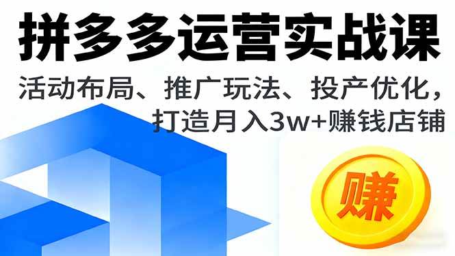 （16135期）拼多多运营实战课，活动布局、推广玩法、投产优化，打造月入3w+赚钱店铺-创业资源网