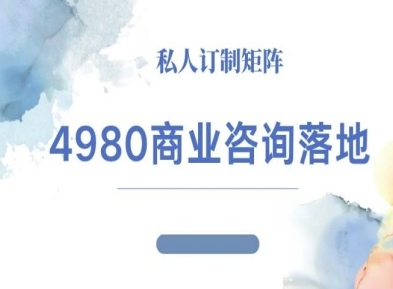 4980商业咨询师落地课程-ip运营高客单教程-创业资源网