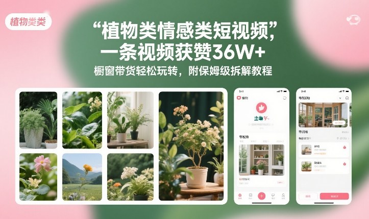 植物类情感类短视频，一条视频获赞36W+，橱窗带货轻松玩转，附保姆级拆解教程-创业资源网