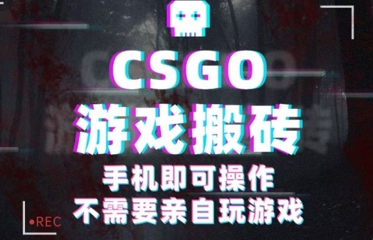 CSGO游戏挂G捡漏，单日扫货5张+，年底小高峰上车可吃肉，手机即可操作，兼职副业创业网创【揭秘】-创业资源网