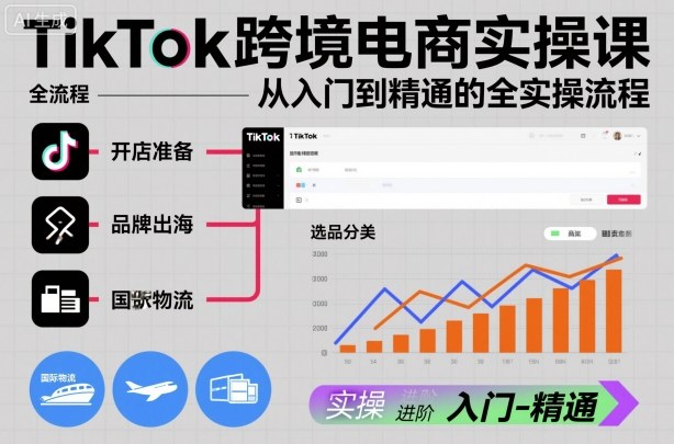TikTok跨境电商实操课，从入门到精通的全实操流程-创业资源网