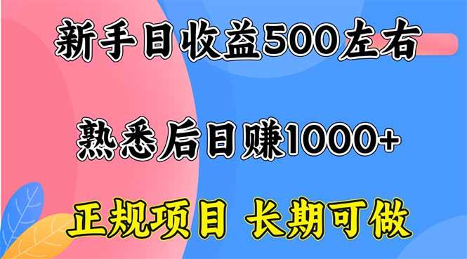 （16132期）新手日收益500+ 正规项目 长期可做-创业资源网