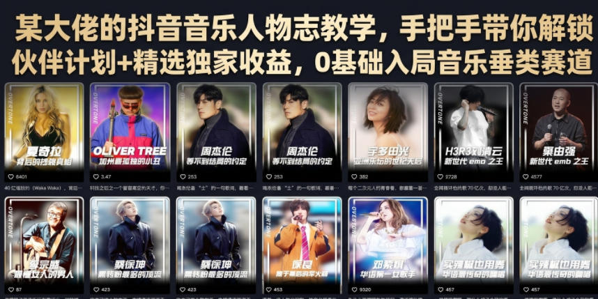 某大佬的抖音音乐人物志教学，手把手带你解锁伙伴计划+精选独家收益，0基础入局音乐垂类赛道-创业资源网
