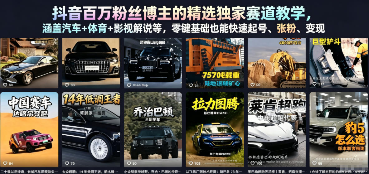 抖音百万粉丝博主的精选独家赛道教学，涵盖汽车+体育+影视解说等，零基础也能快速起号、涨粉、变现（更新0701）-创业资源网
