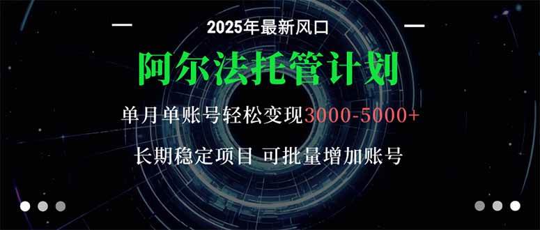 （16360期）阿尔法托管计划 单账号月入3000-5000，长期稳定项目，新手小白轻松上手。-创业资源网