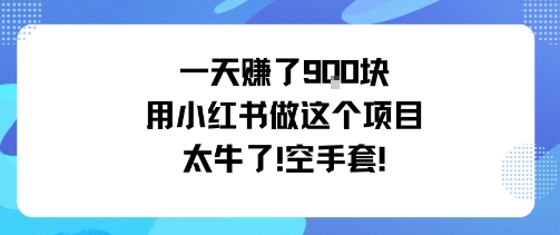 一天挣了9张用小红书做这个项目太牛了，空手套-创业资源网