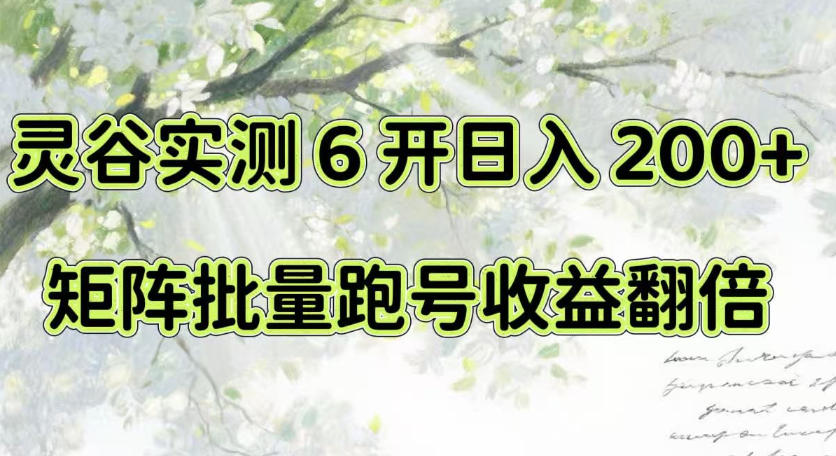 一台电脑就能做！灵谷实测6开日入200+，矩阵批量跑号收益翻倍【揭秘】-创业资源网