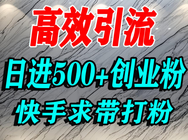 怎么打创业粉？快手求带视角精准引流创业粉，宝妈、学生群体日进500+精准流量-创业资源网