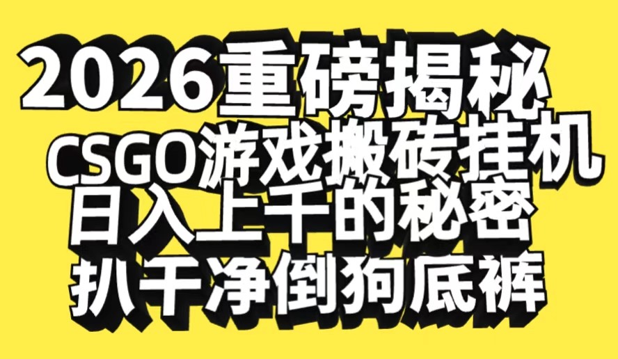 2026开年重磅解密，CSGO游戏搬砖挂机日入上千的秘密，把倒狗的底裤扒干-创业资源网