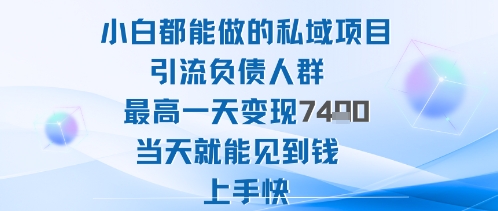 2025年小白都能做的私域项目引流负债人群最高一天变现1k+高变现难度低当天就能见到钱上手快-创业资源网