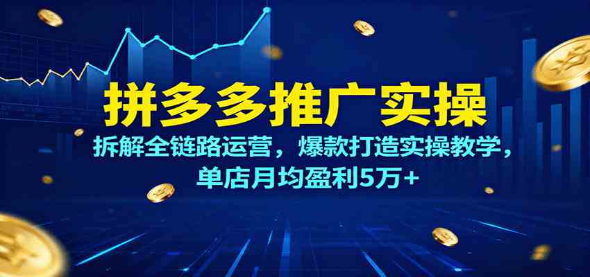 拼多多推广实操，拆解全链路运营，爆款打造实操教学，单店月均盈利5万+-创业资源网