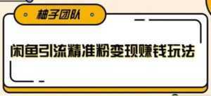 闲鱼引流精准粉变现赚钱玩法,每天可以引流精准粉100+-创业资源网