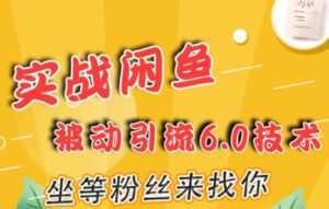 闲鱼被动引流技术6.0,坐等粉丝来找你,实战培训课程视频-创业资源网
