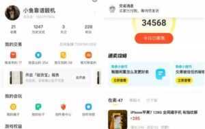 引流哥《闲鱼卖苹果手机项目》教你闲鱼卖货月入上万-创业资源网