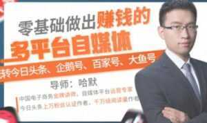 零基础做出赚钱的多平台自媒体，玩转今日头条-企鹅号-百家号-大鱼号-创业资源网
