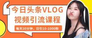 今日头条VLOG视频引流技术,每天30分钟,日引10-1000粉-创业资源网