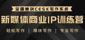 自媒体运营培训课程，新媒体商业IP训练营，轻松写作赚钱-创业资源网